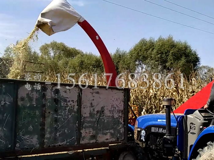 �o����������ո�C(j��)