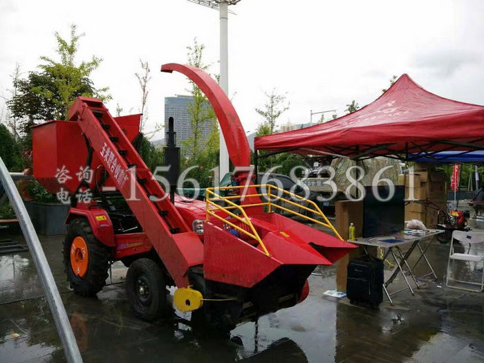 �o����������ո�C(j��)