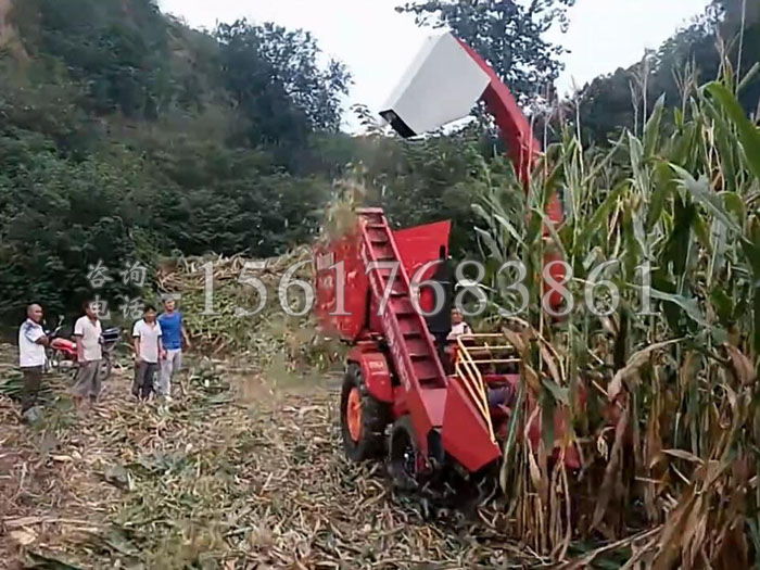 �o����������ո�C(j��)